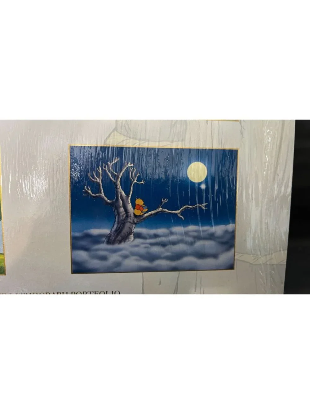 Poohs Grand Adventure Disney Store Exclusive Litho Portfolio